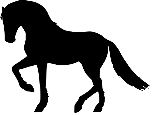 Image de cheval