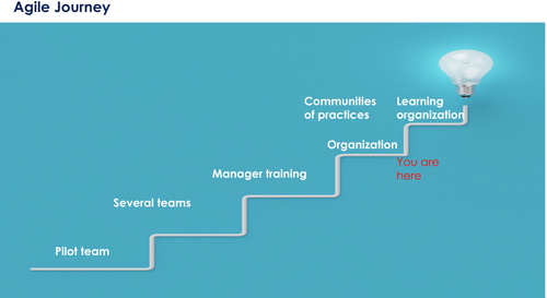 Agile Journey
pilot team
Several teams
Manager training
Organization
Learning Organization
Communities of Practice