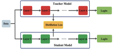 exemple d'architecture Teacher-Student pour de la Feature-Based Knowledge Distillation