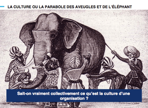 parabole-aveugles-elephant-culture-hacking