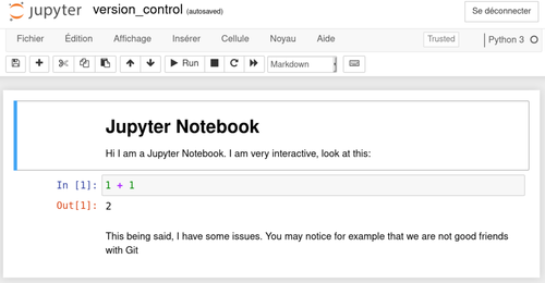 Capture d'écran d'un Jupyter Notebook