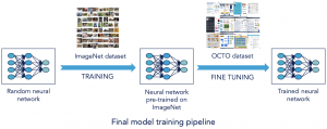 The pipeline of the model training.