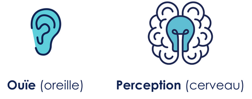 A gauche, l'image d'une oreille avec comme sous-titre "Ouïe (oreille)".
A droite, l'image d'un cerveau avec comme sous-titre "Perception (cerveau)". 