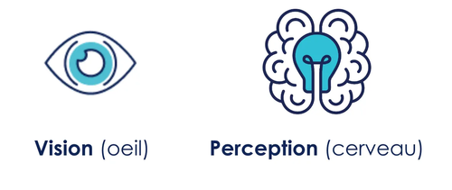A gauche, l'image d'un oeil accompagné du texte "Vision (oeil)". A droite, l'image d'un cerveau accompagné du texte "Perception (cerveau)”. 