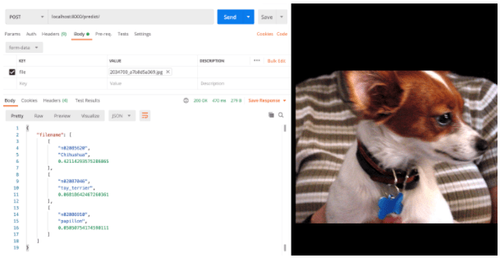 Envoi dans Postman d'une image de chihuahua dans le corps de la requête HTTP POST sur la route /predict au service web de machine learning (backend FastAPI).