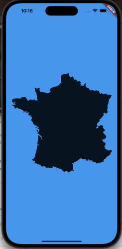 Capture d'écran d'un téléphone avec l'image de la France