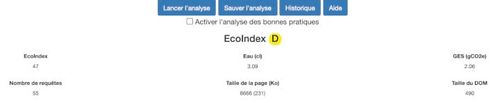 Capture d’écran Ecoindex Extension